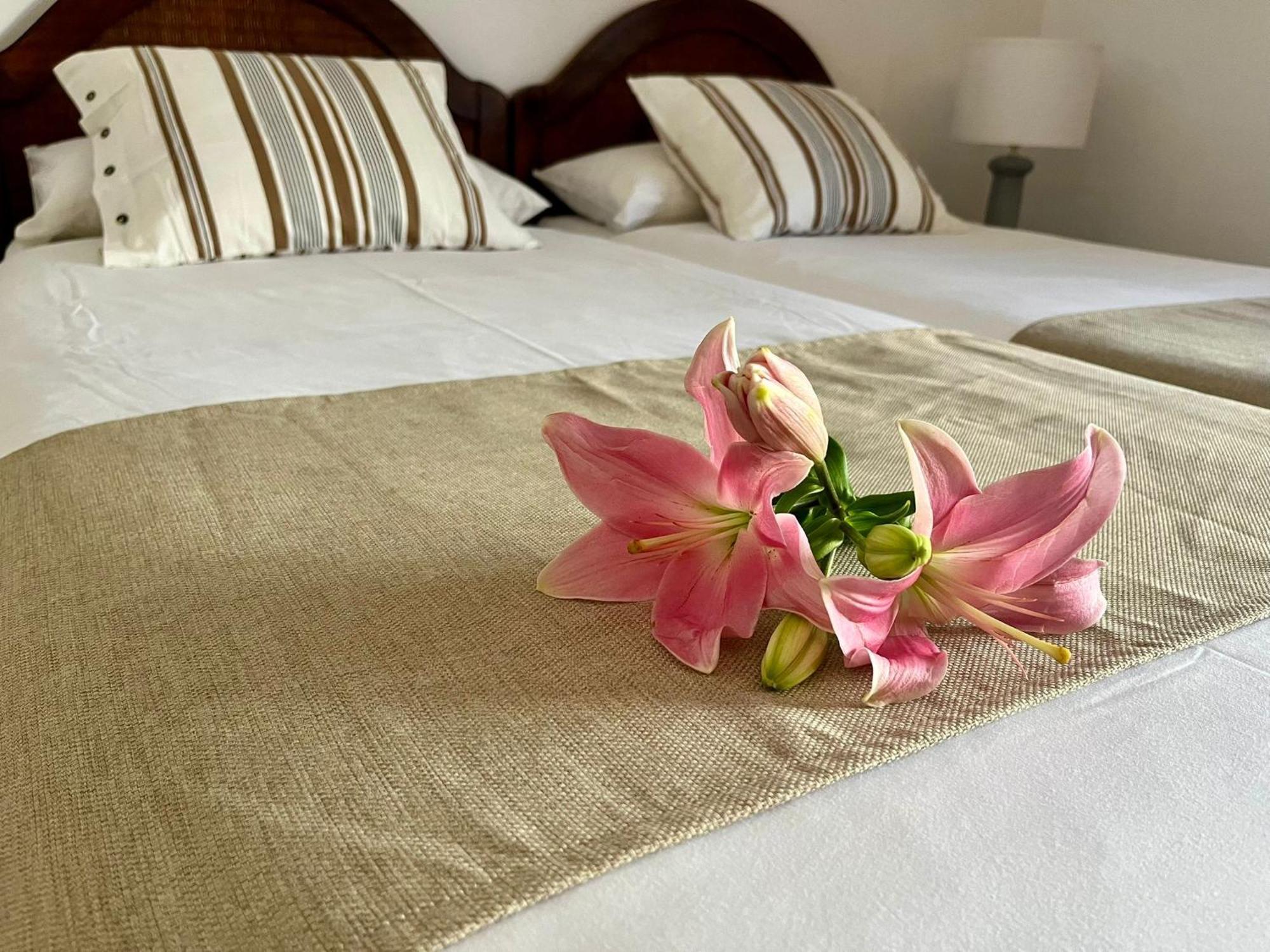 Casa Del Charco 2,0 Holiday home Arrecife (Lanzarote)