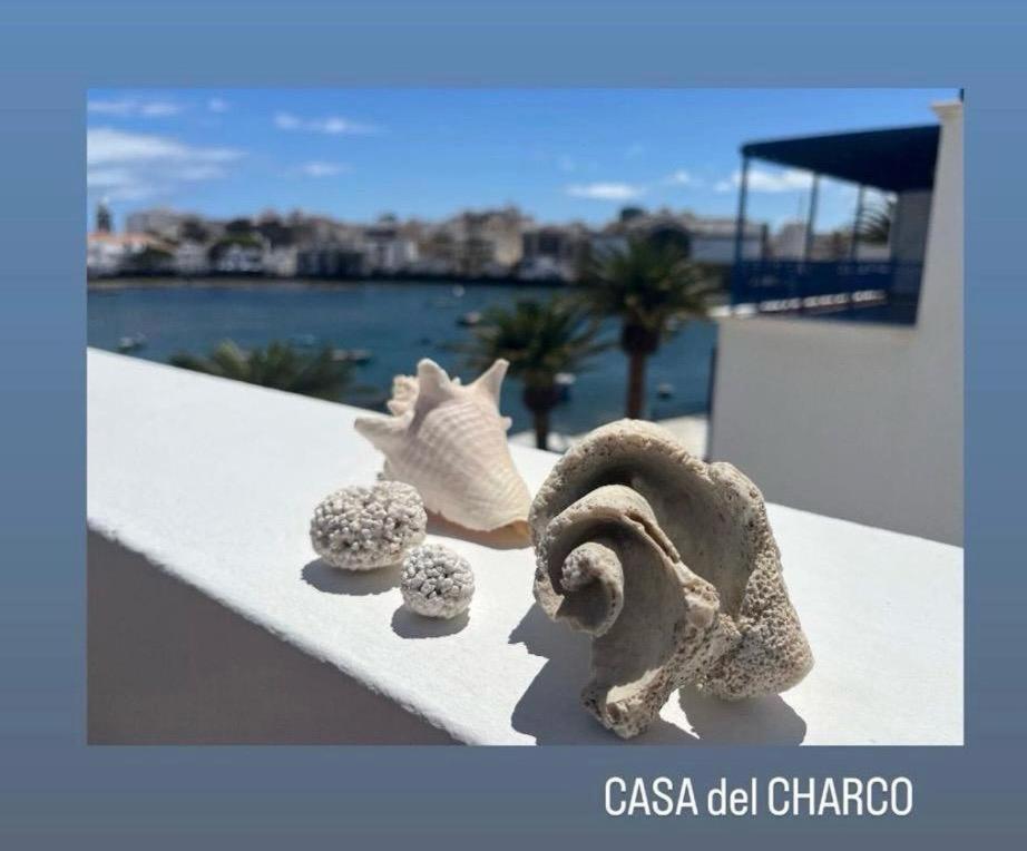 Casa Del Charco 2,0 Holiday home Arrecife (Lanzarote)